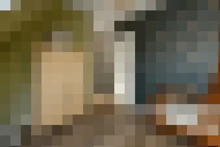 De Zuiling 100 Elst thumbnail 25