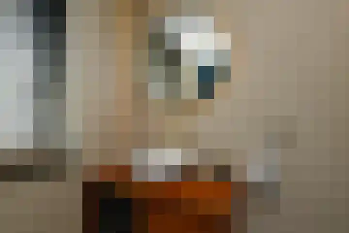 De Zuiling 100 Elst thumbnail 29