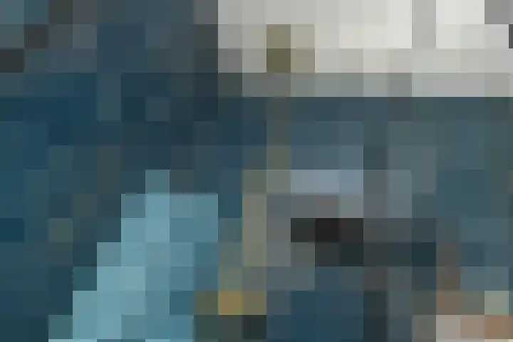 De Zuiling 100 Elst thumbnail 31