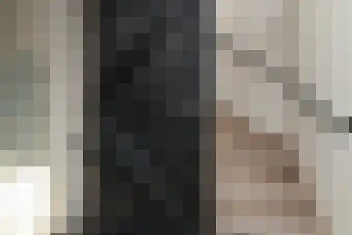 De Zuiling 100 Elst thumbnail 33