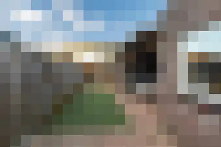 De Zuiling 100 Elst thumbnail 39