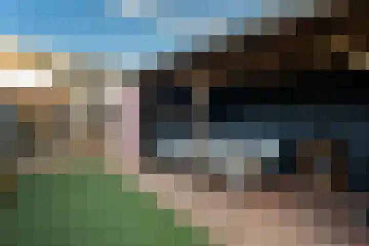 De Zuiling 100 Elst thumbnail 41