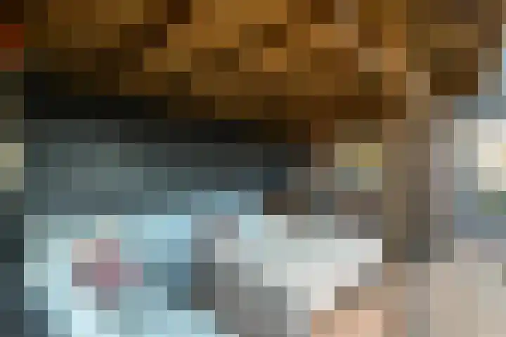 De Zuiling 100 Elst thumbnail 43