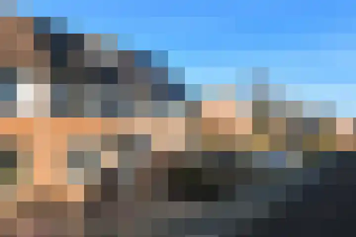 De Zuiling 100 Elst thumbnail 48