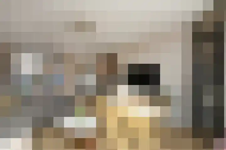 De Zuiling 100 Elst thumbnail 5