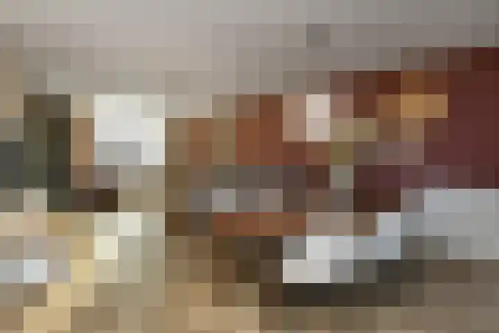 De Zuiling 100 Elst thumbnail 6