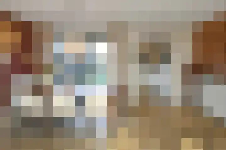 De Zuiling 100 Elst thumbnail 8