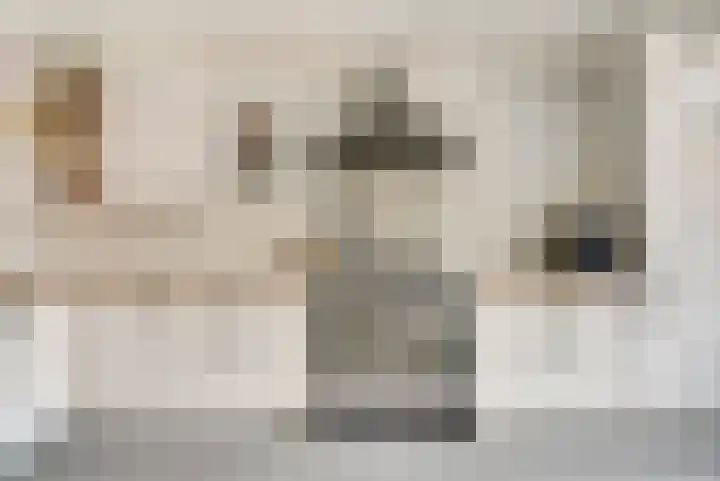 De Zuiling 116 Elst thumbnail 10