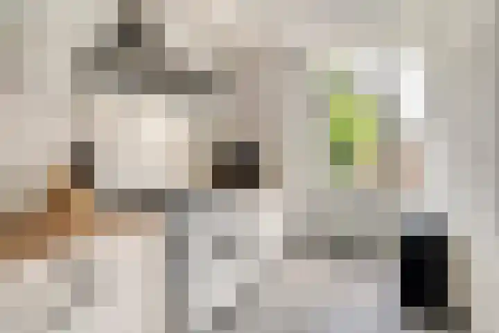 De Zuiling 116 Elst thumbnail 12