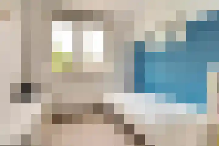 De Zuiling 116 Elst thumbnail 23