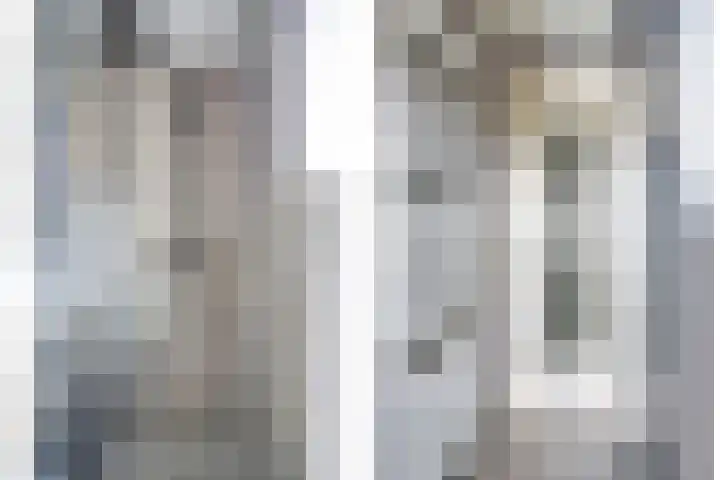 De Zuiling 116 Elst thumbnail 29