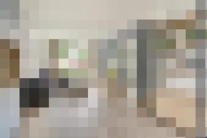 De Zuiling 116 Elst foto 3