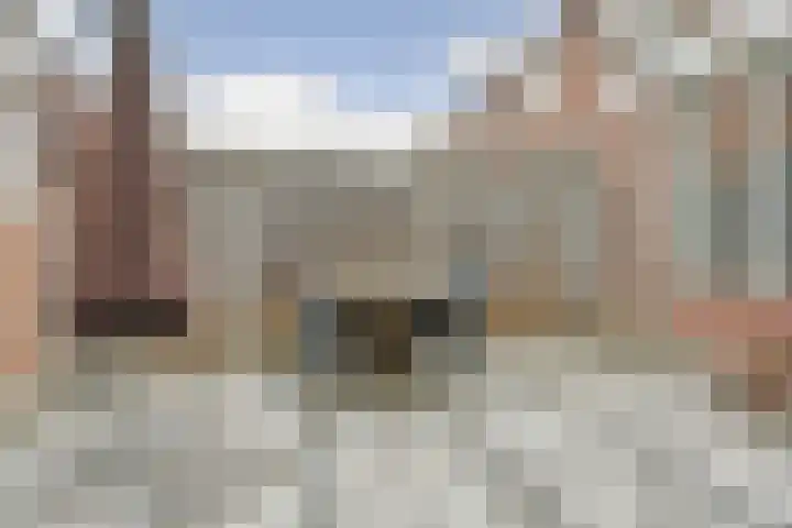 De Zuiling 116 Elst thumbnail 32