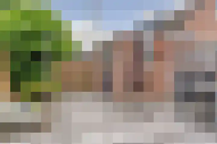 De Zuiling 116 Elst thumbnail 33