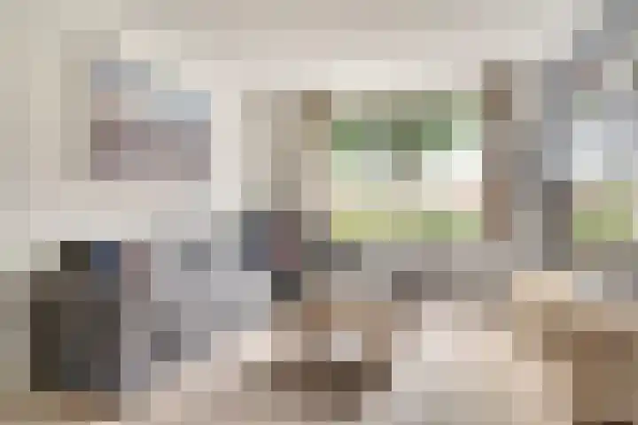 De Zuiling 116 Elst thumbnail 4