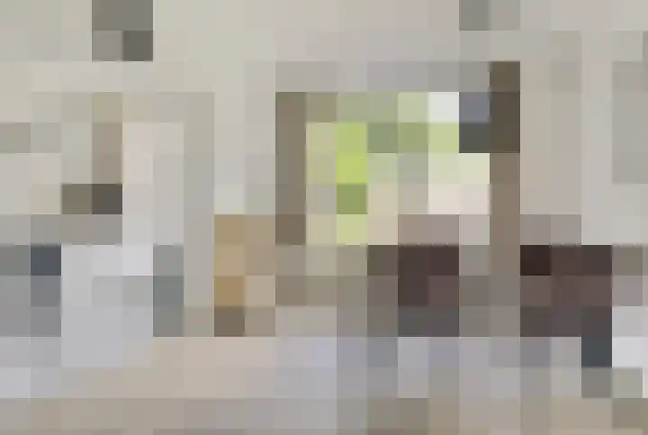 De Zuiling 116 Elst thumbnail 9