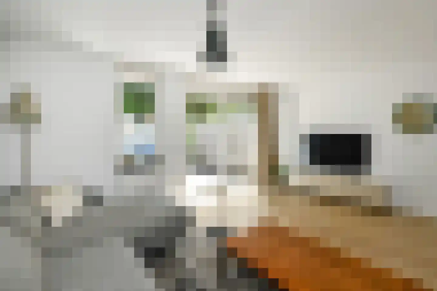 De Zuiling 125 Elst thumbnail 14