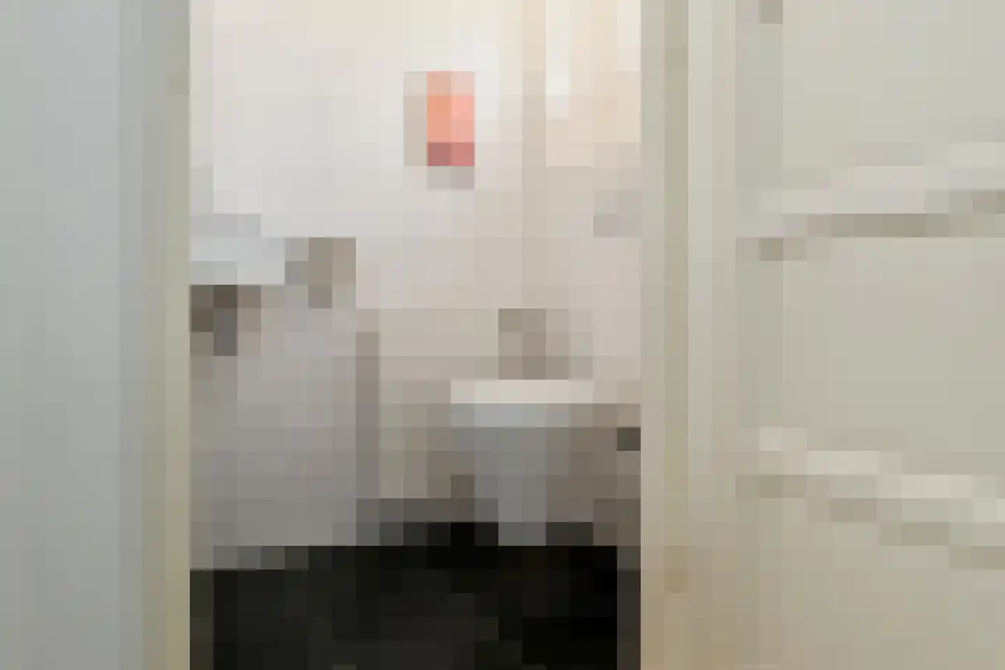De Zuiling 125 Elst thumbnail 24
