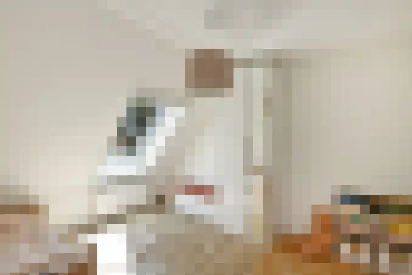 De Zuiling 125 Elst thumbnail 27