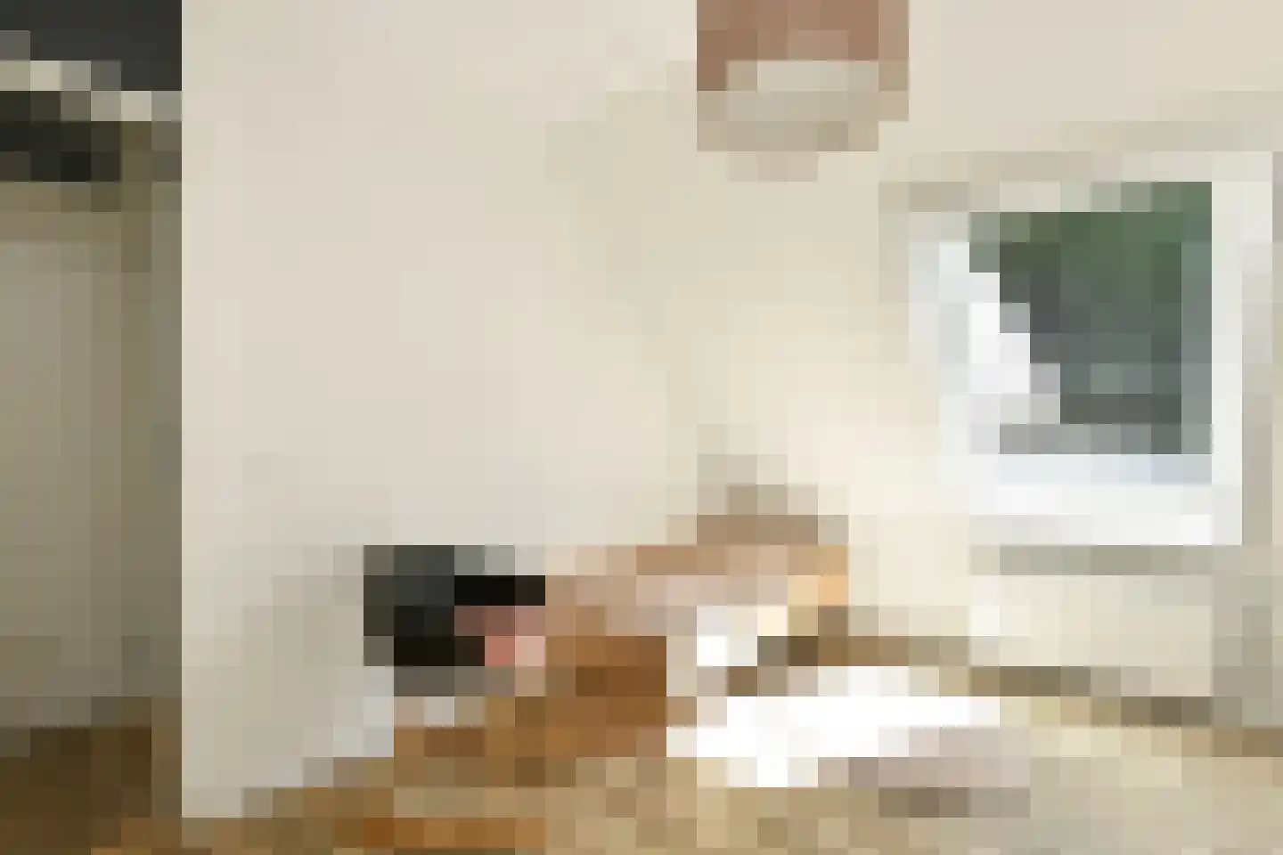 De Zuiling 125 Elst thumbnail 28