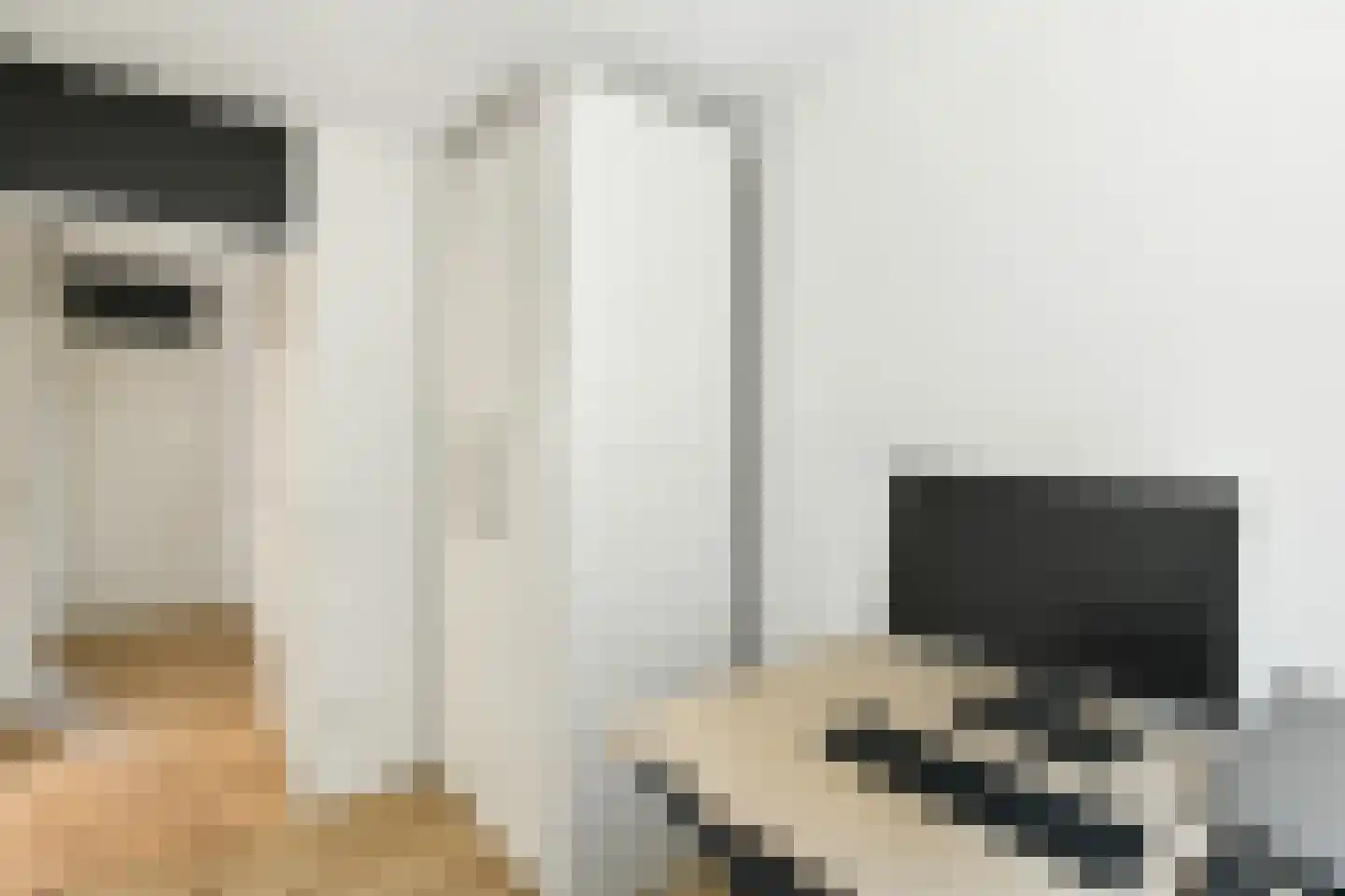 De Zuiling 125 Elst thumbnail 30