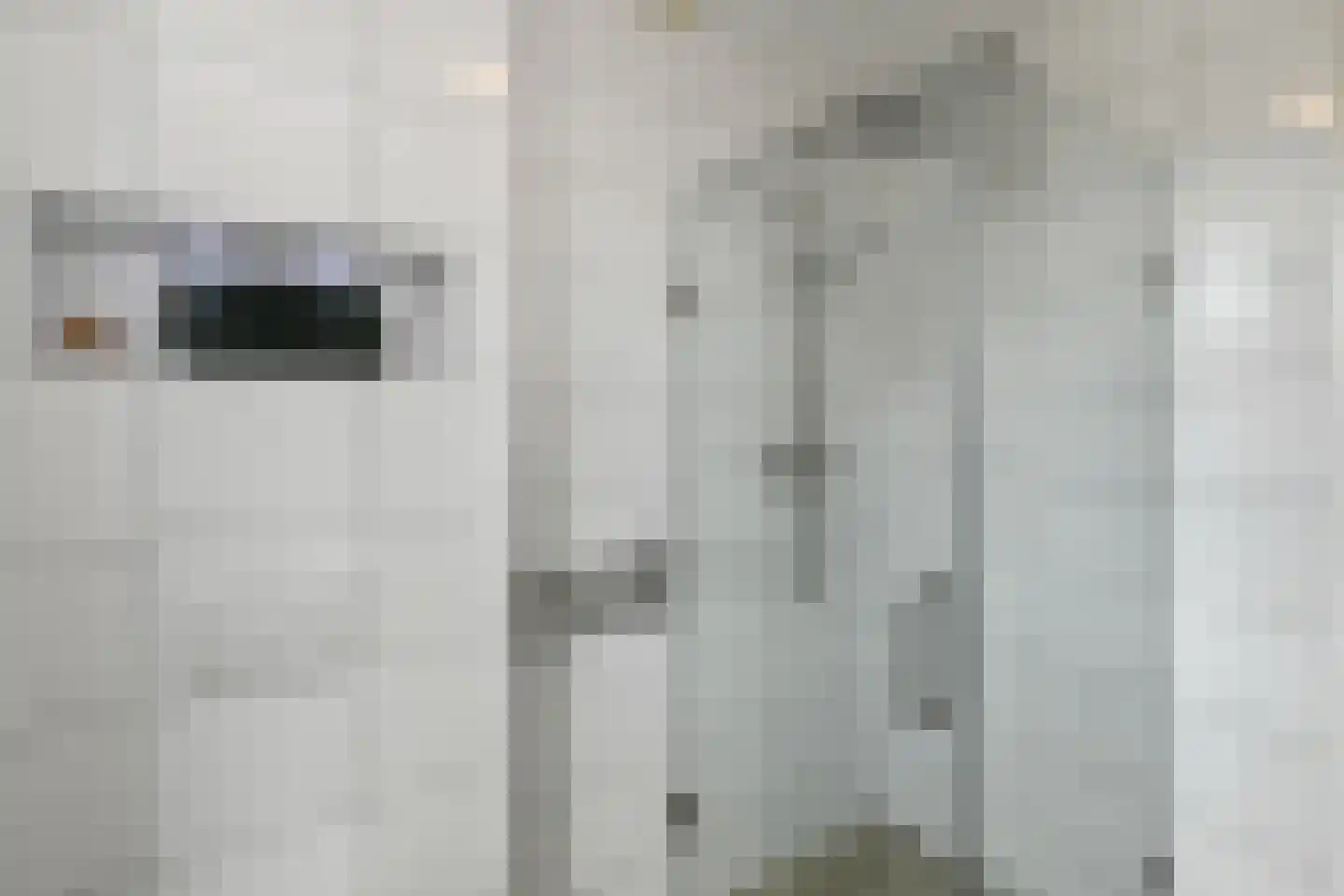De Zuiling 125 Elst thumbnail 32