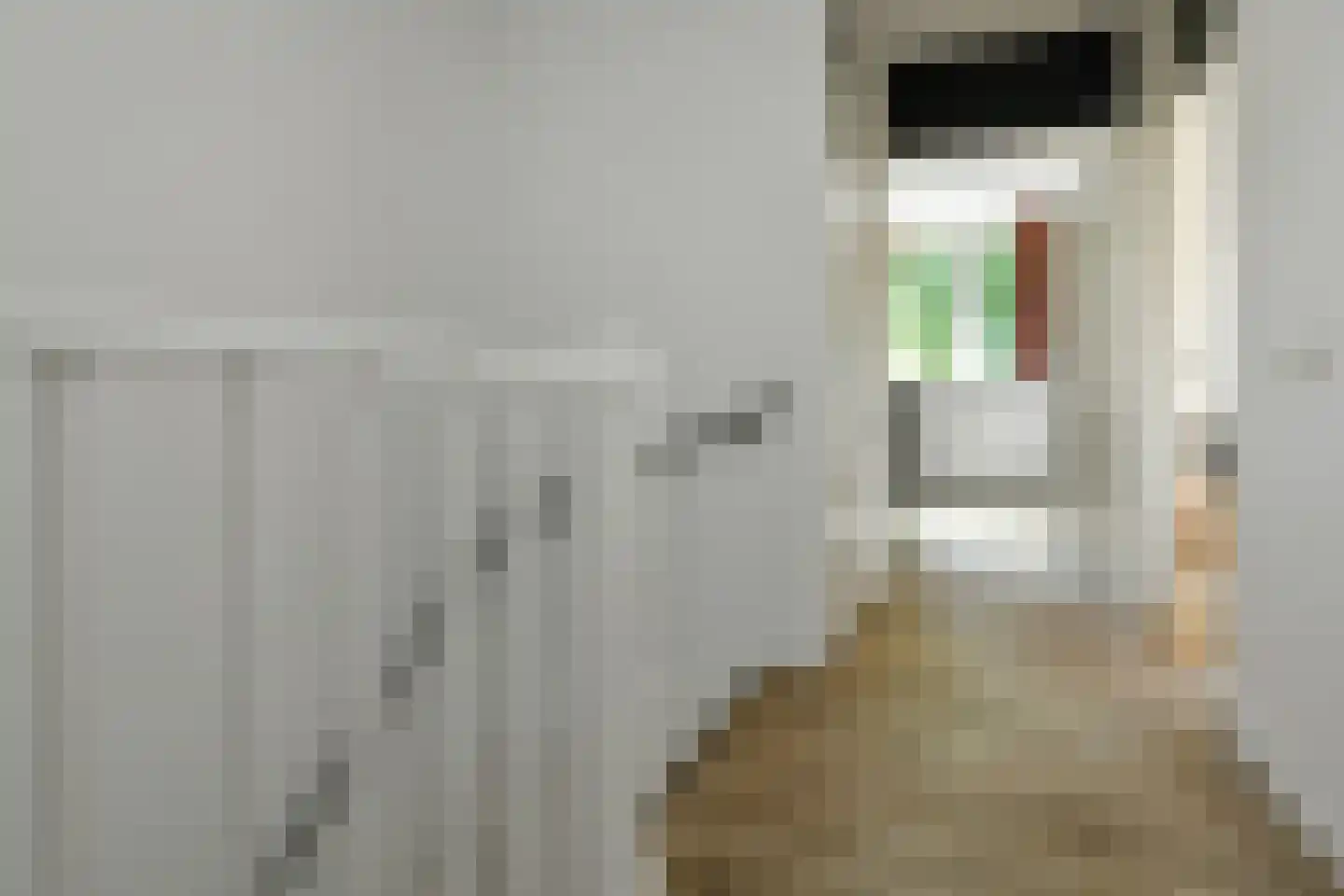 De Zuiling 125 Elst thumbnail 34