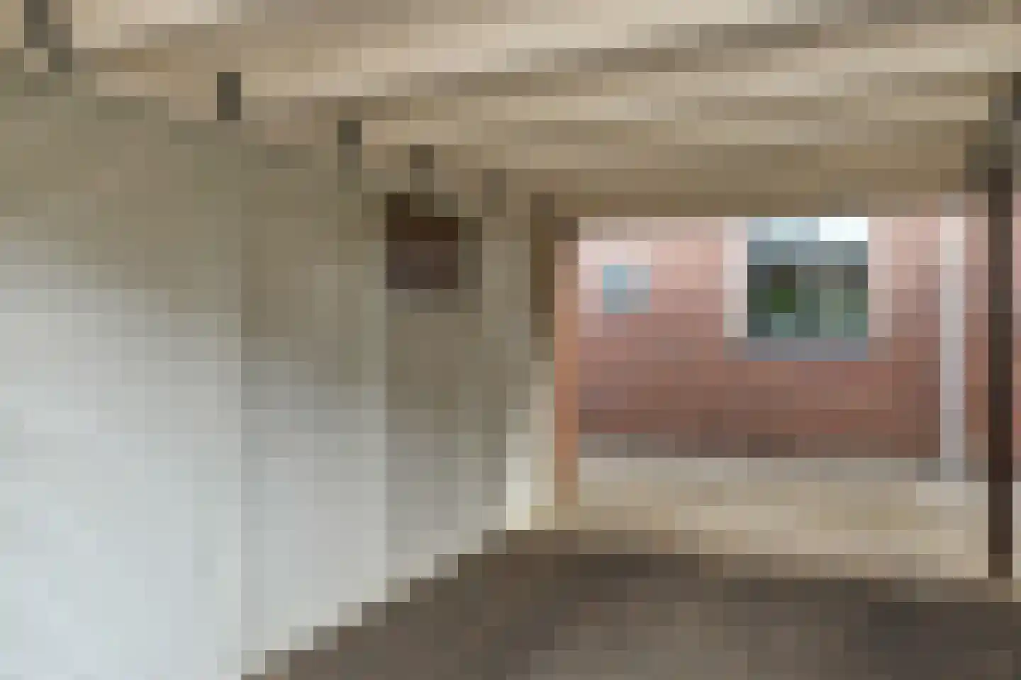 De Zuiling 125 Elst thumbnail 7