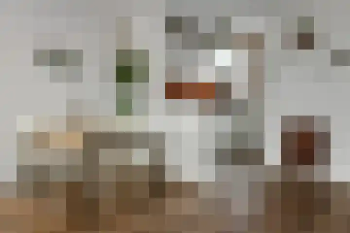 De Zuiling 129 Elst thumbnail 13