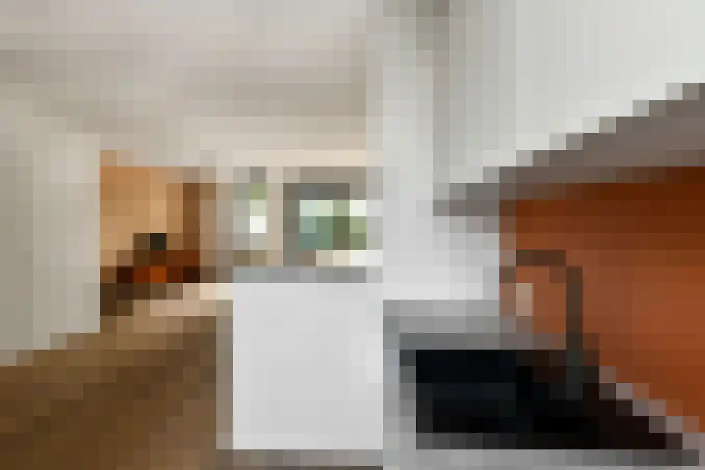 De Zuiling 129 Elst thumbnail 17