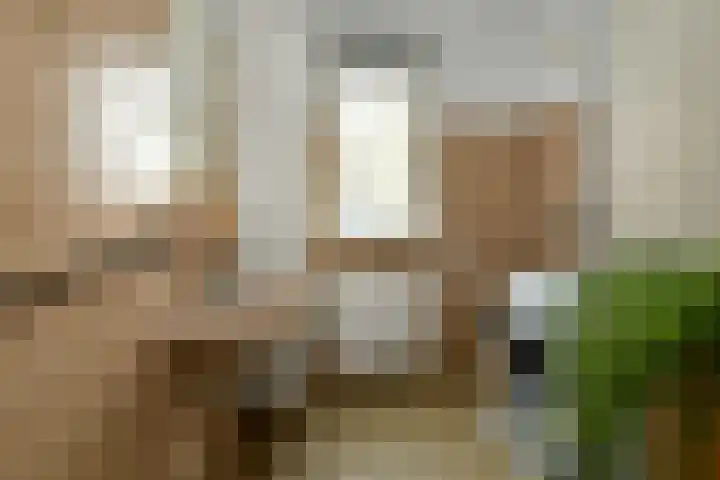 De Zuiling 129 Elst thumbnail 27