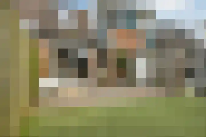 De Zuiling 129 Elst thumbnail 30