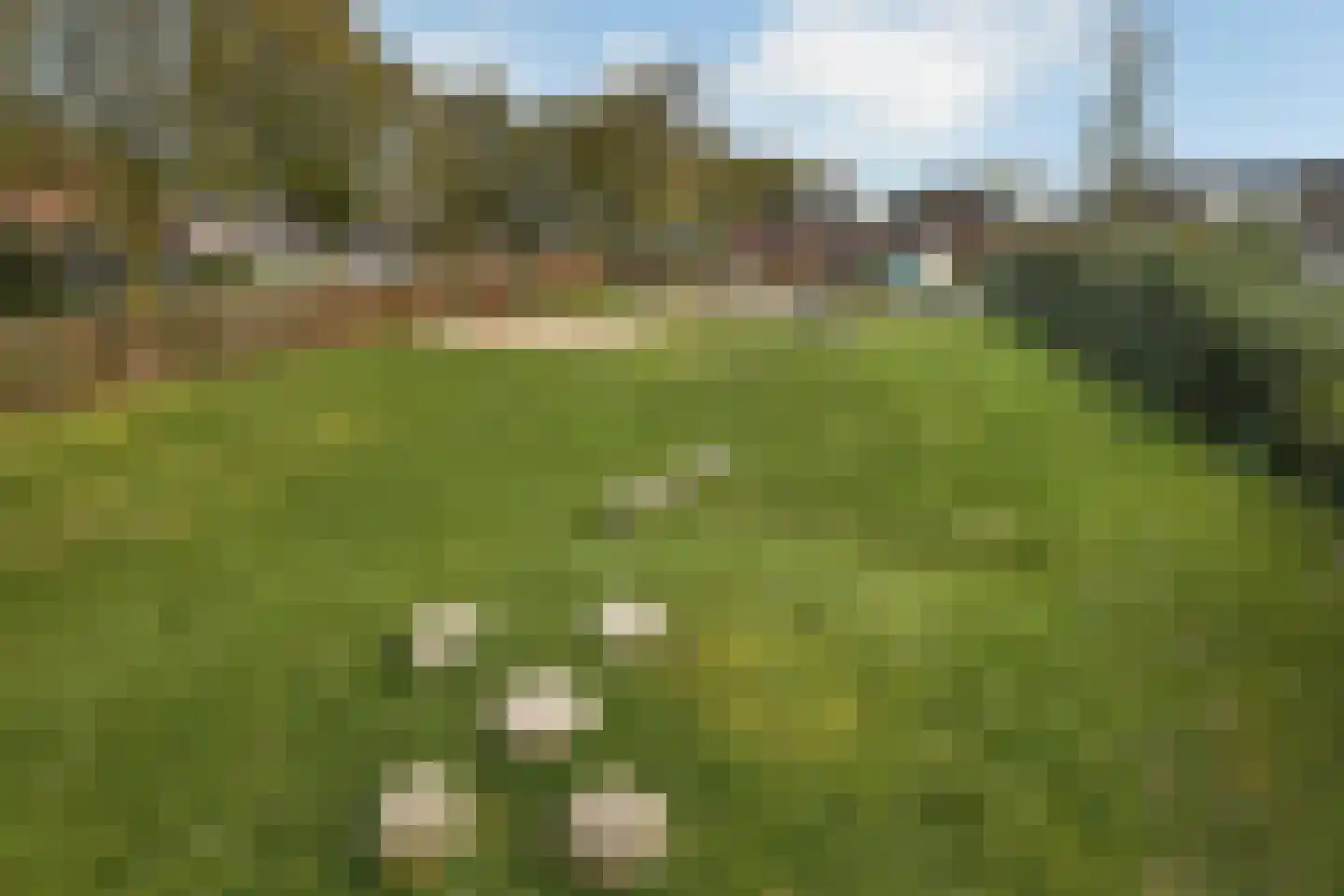De Zuiling 129 Elst thumbnail 33