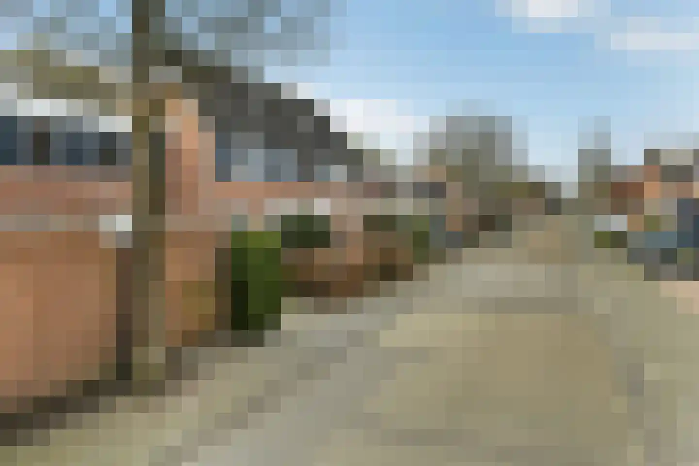 De Zuiling 129 Elst thumbnail 5