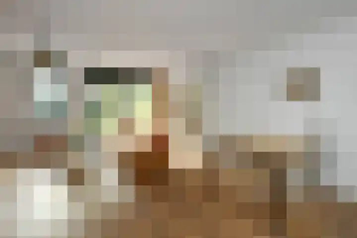 De Zuiling 129 Elst thumbnail 8
