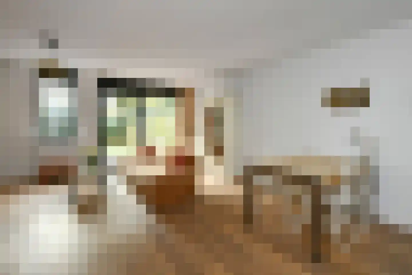 De Zuiling 129 Elst thumbnail 8