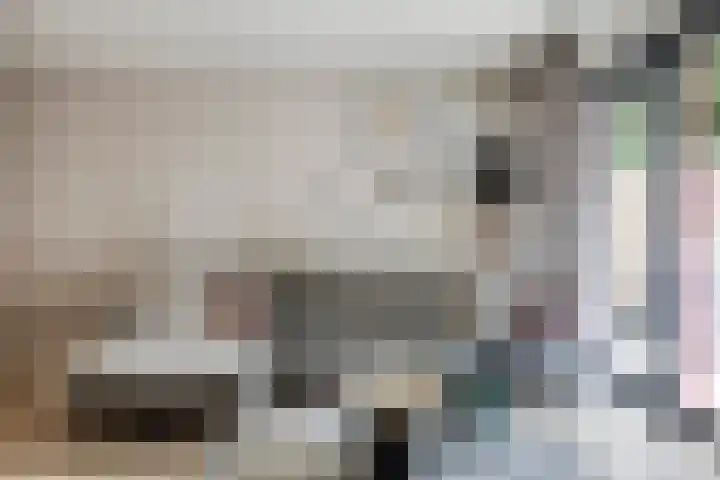 De Zuiling 135 Elst thumbnail 12