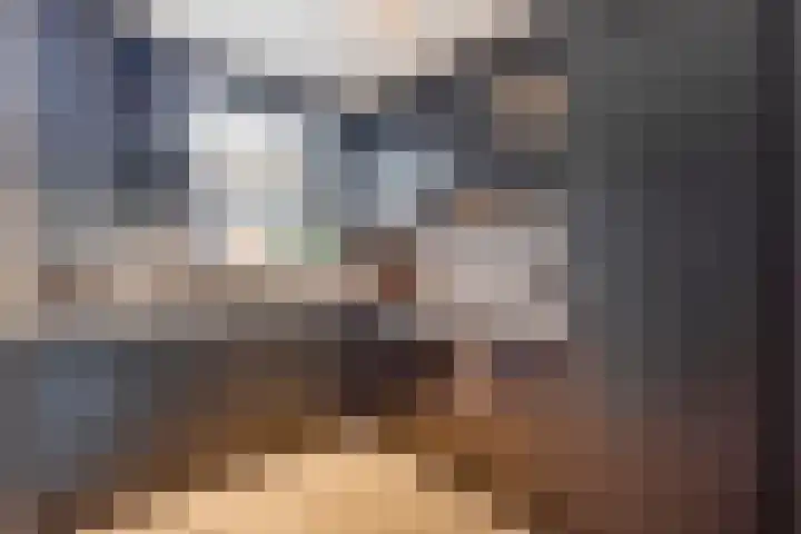 De Zuiling 135 Elst thumbnail 14
