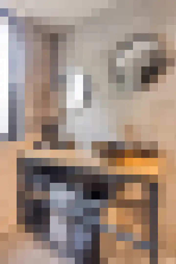 De Zuiling 135 Elst thumbnail 17