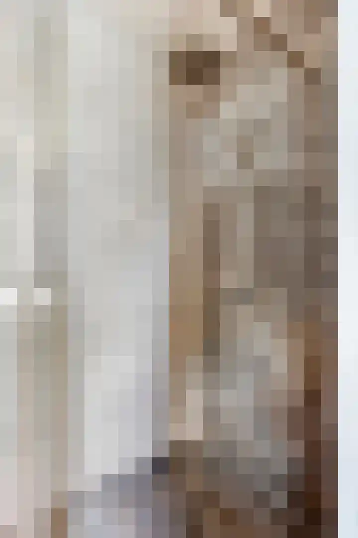 De Zuiling 135 Elst thumbnail 18