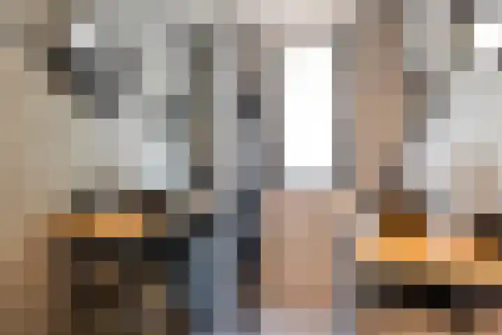 De Zuiling 135 Elst thumbnail 20