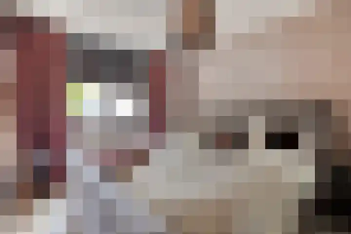 De Zuiling 135 Elst thumbnail 23