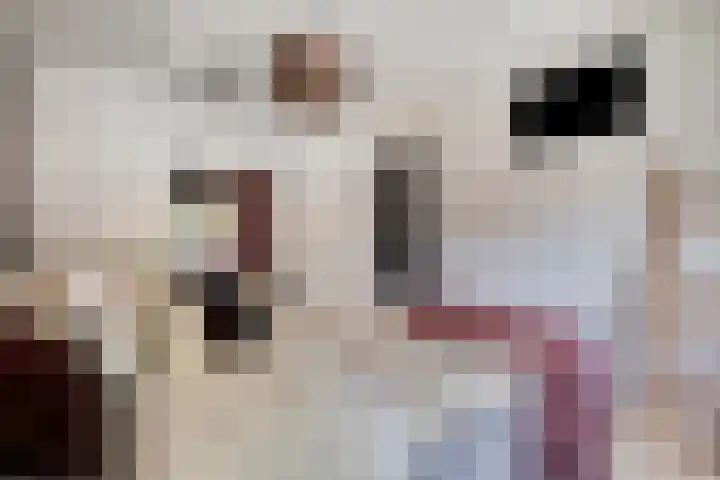 De Zuiling 135 Elst thumbnail 24