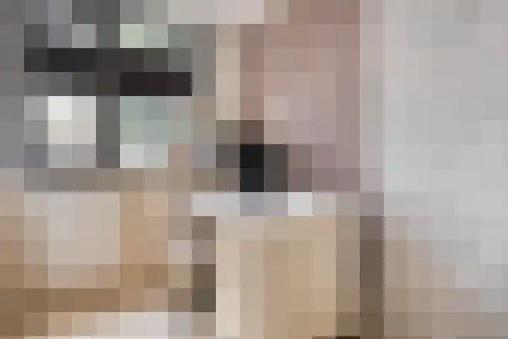 De Zuiling 135 Elst thumbnail 25