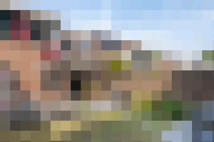 De Zuiling 135 Elst thumbnail 28