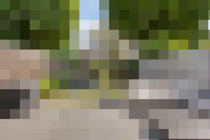 De Zuiling 135 Elst thumbnail 29