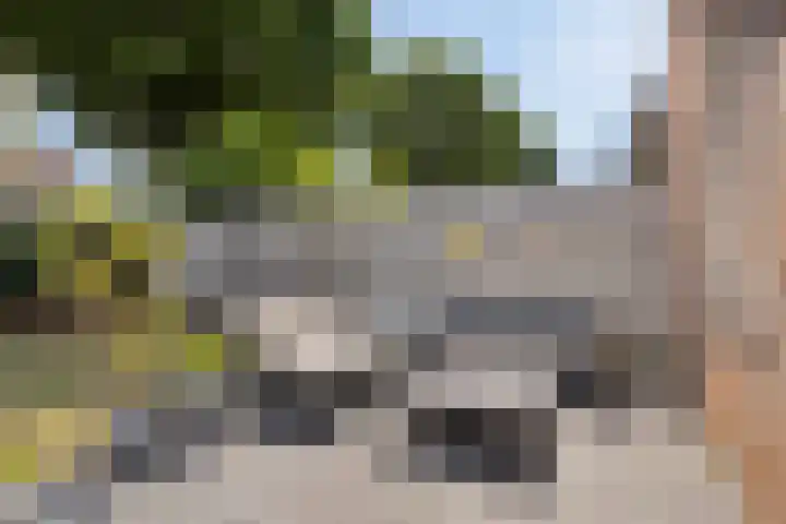 De Zuiling 135 Elst thumbnail 30
