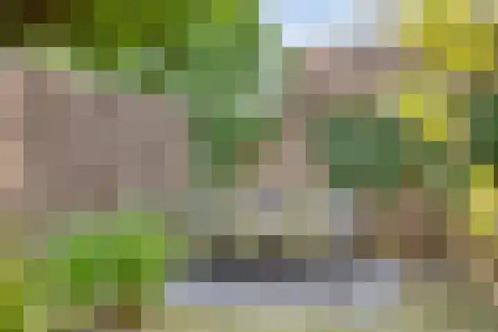 De Zuiling 135 Elst thumbnail 31