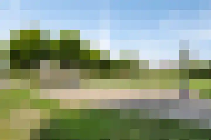 De Zuiling 135 Elst thumbnail 32
