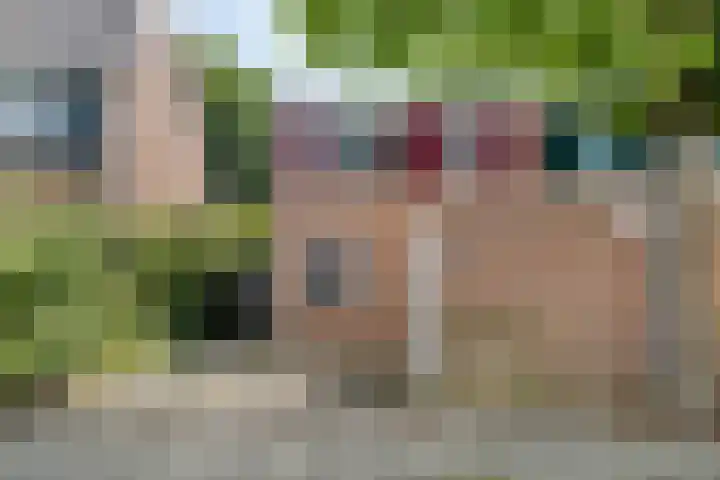De Zuiling 135 Elst thumbnail 6